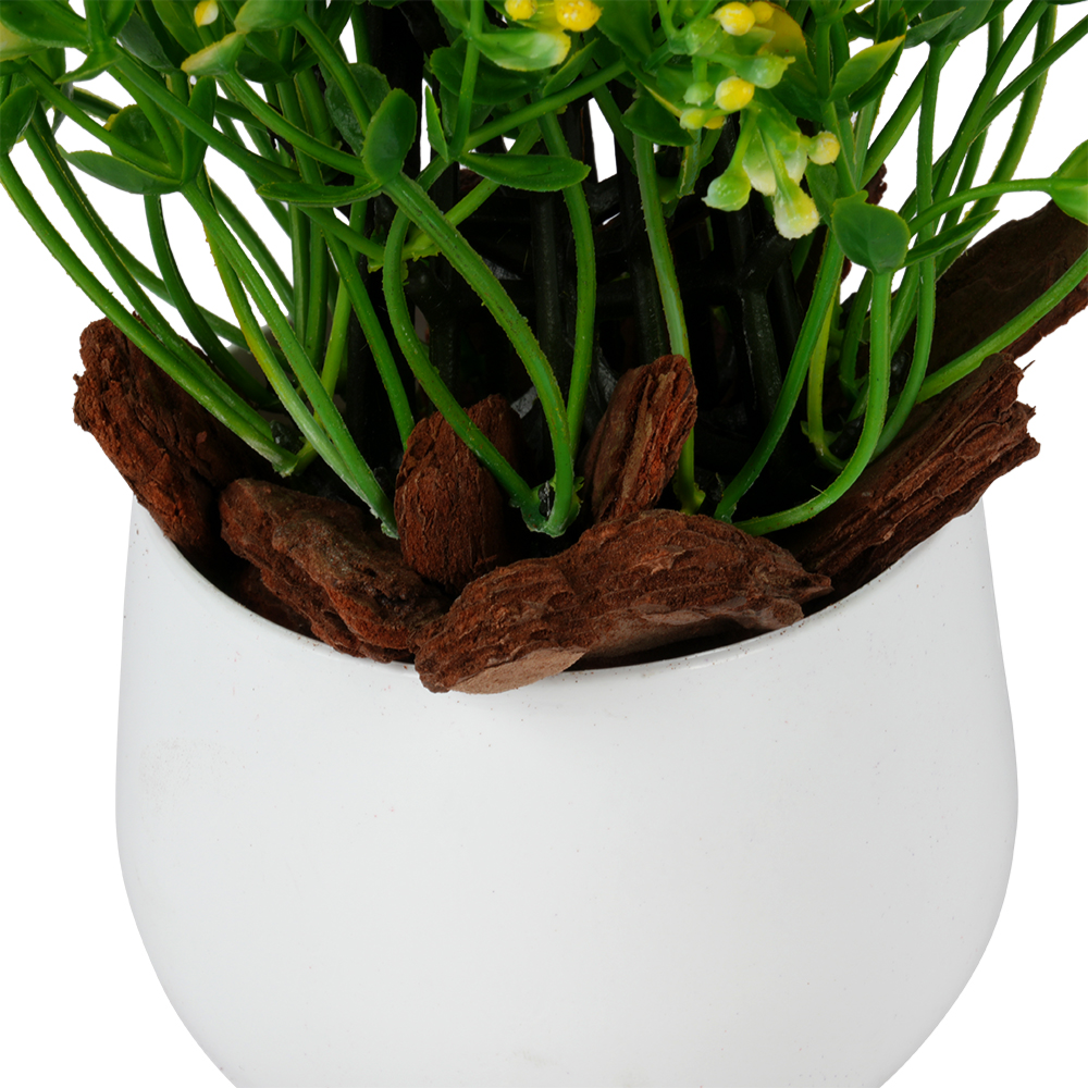 Natural Pine Bark Chips - Decorative Garden Mulch -(12x11cm) jar