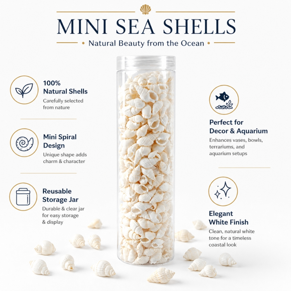 Decorative Small Sea Shells – Natural Mini White Shells for Aquarium, Crafts, Home Décor & DIY Projects