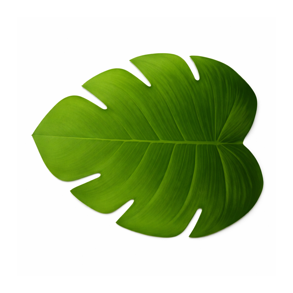 Premium Monstera Leaf Table Mat 47cm x 38cm – Tropical Green Decorative Dining Placemat for Home & Kitchen