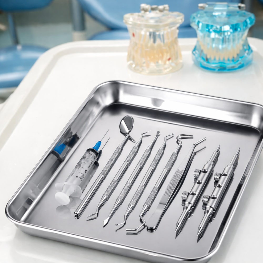 Premium Stainless Steel Serving Tray 24cm x 18cm x 3cm – Durable Rectangular SS Food Serving Plate for Snacks, Fruits, Tea, Kitchen & Dining Use