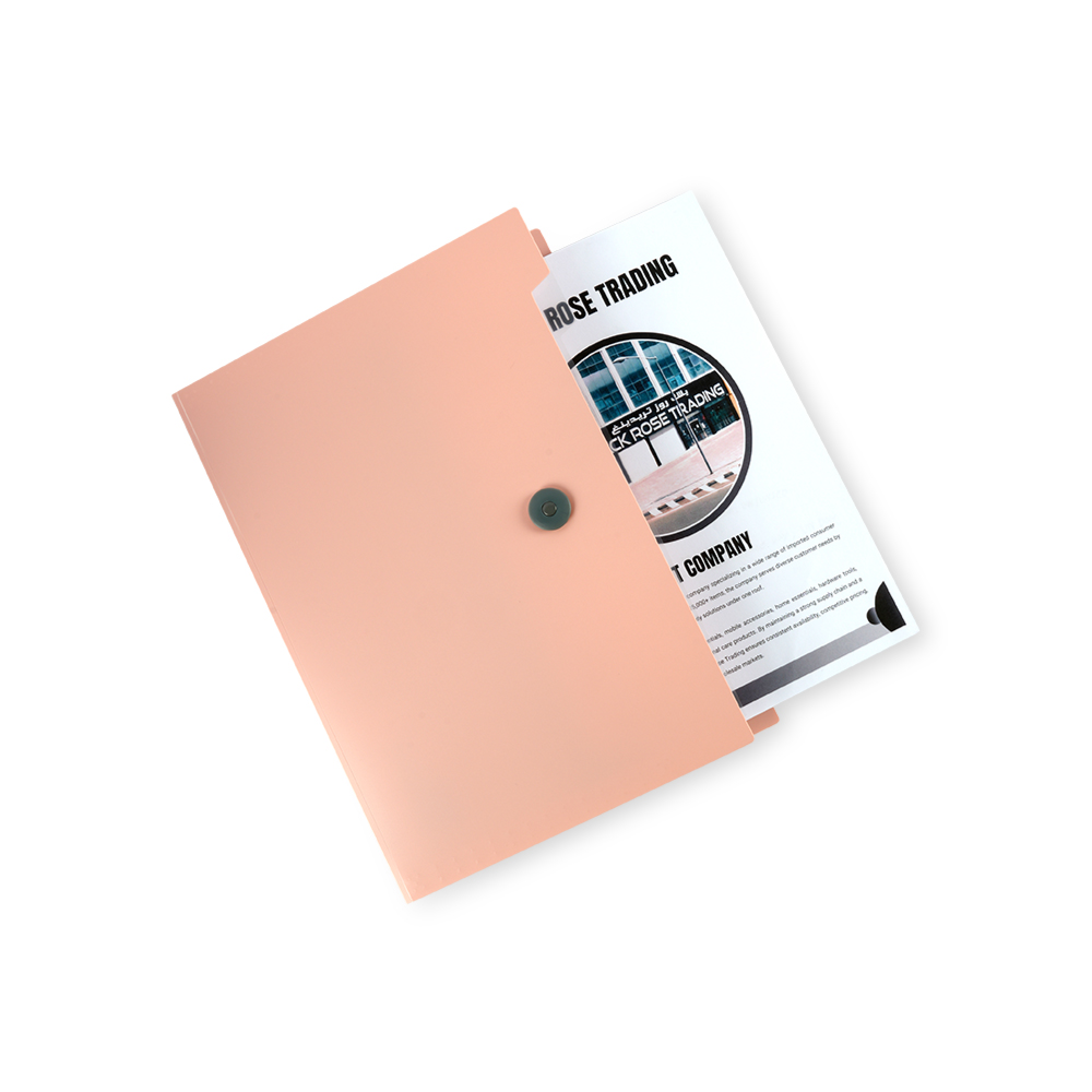 Little Shell File Folder – Expanding Document Organizer (24CM x 33CM)