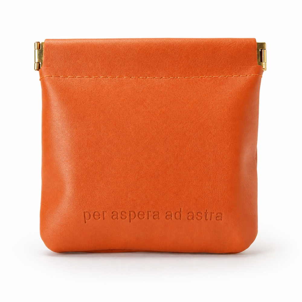 Mini Makeup Pouch - Elegant Travel Organizer (12cm)