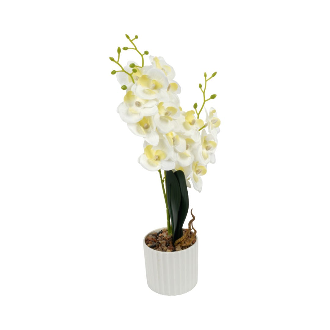 White artificial Phalaenopsis orchid |Artificial Flowers