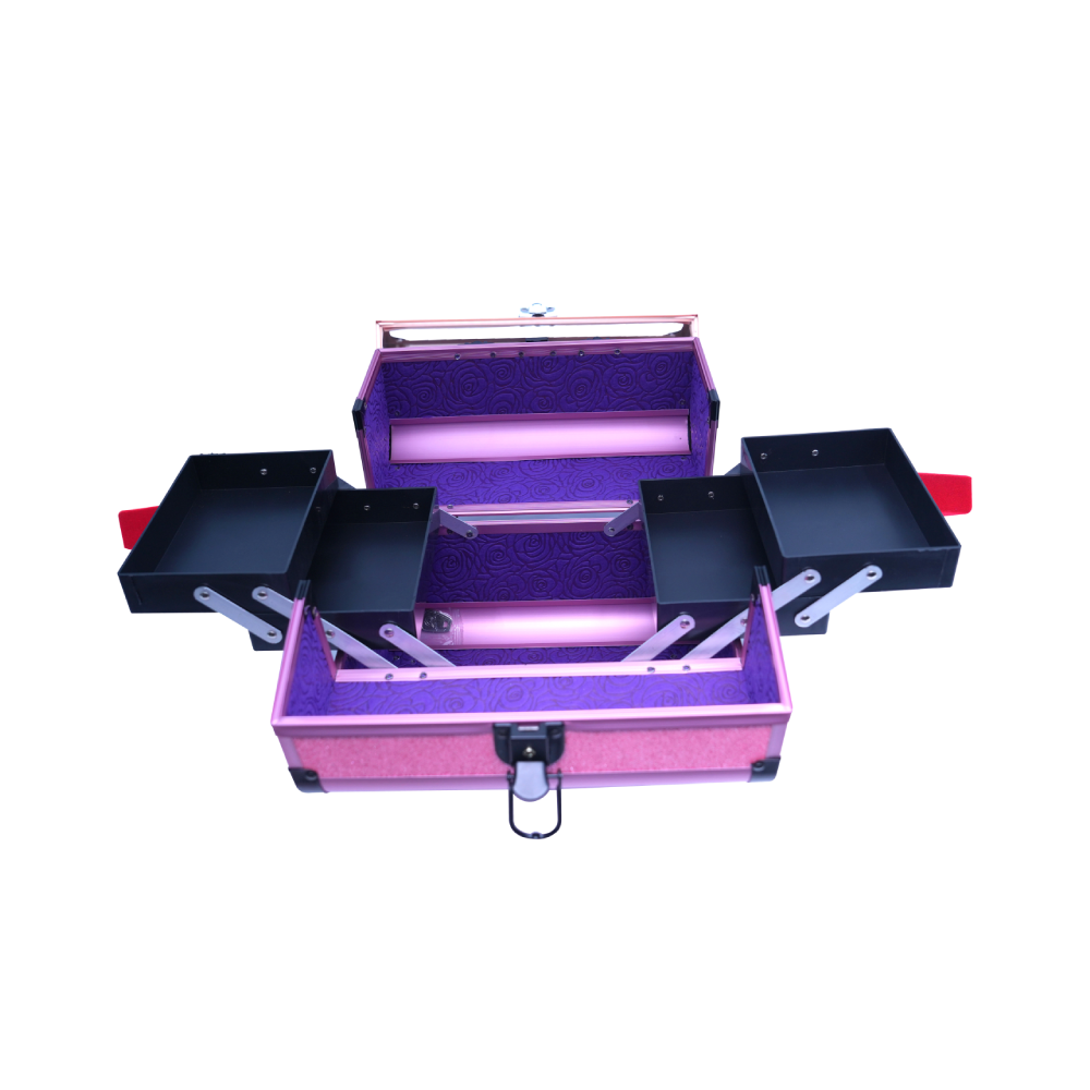 Clear Lid Jewelry Organizer - Multi-Tier Velvet Storage Case