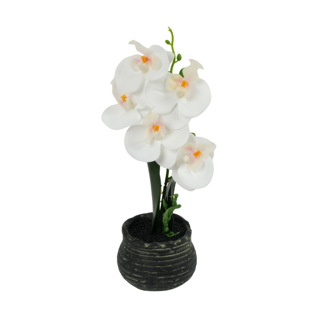 White Phalaenopsis artificial orchid| Artificial Flowers