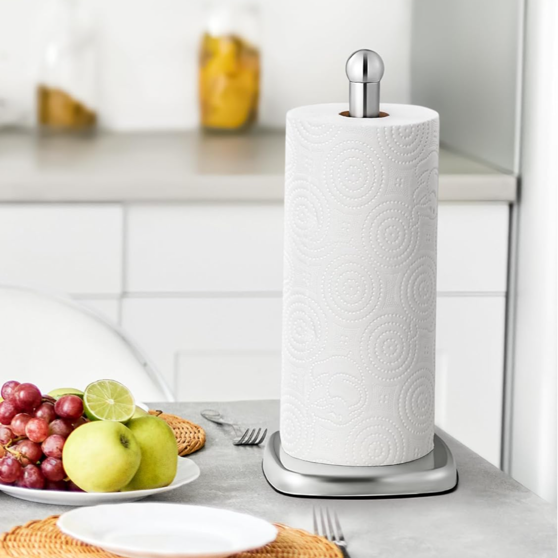 Stainless Steel Paper Towel Holder