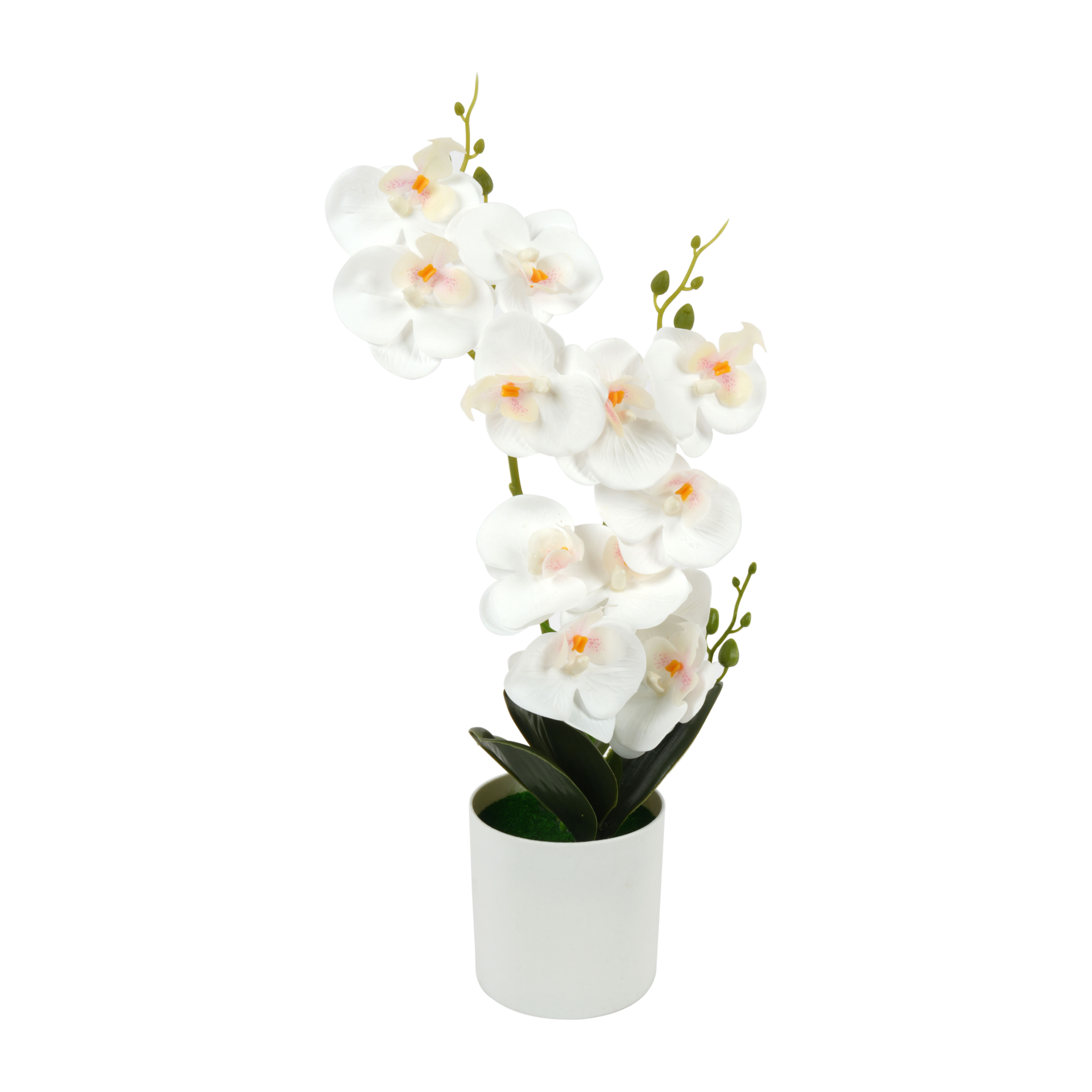 White orchid plant | Artificial Flowers